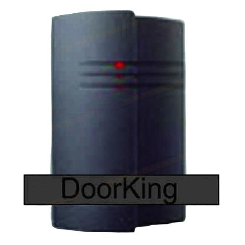 black electronic device with 'DoorKing' branding on a white background