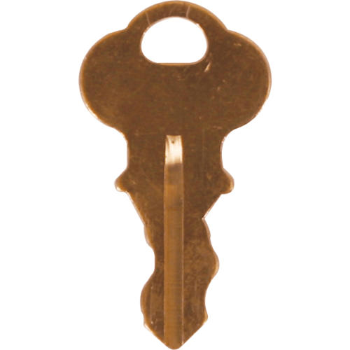 Key, for Use with STI-9100 STI-6400, STI-6402, STI-6403, STI-6404�
