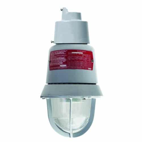 Edwards Signaling 116 Class Explosion Proof Pendant Mounting Module, 3/4" NPT