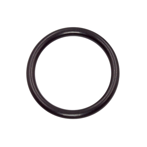 Generic O-Ring (100)