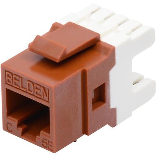 Brown and white Ethernet cable connector with 'Belden' branding on a white background