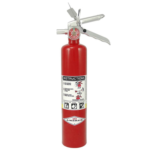 Amerex B417T 2.5lb ABC Dry Chemical Extinguisher with 860 Rubber Strap Bracket