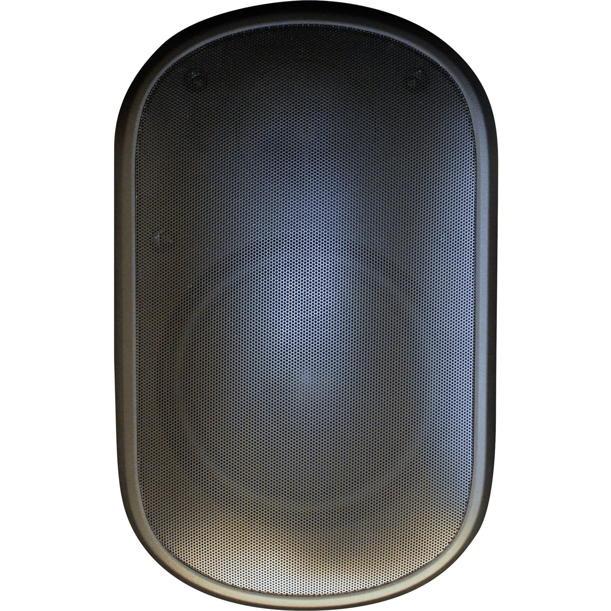 black oval shaped speaker on white background 