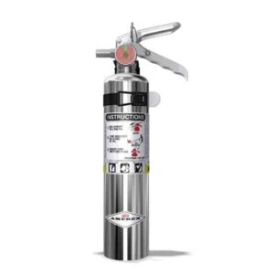 2.5 lb chrome extinguisher