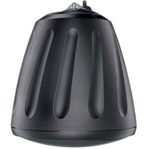 Black Coaxial Open-Ceiling Speaker