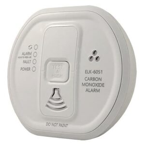Two Way Carbon Monoxide Detector