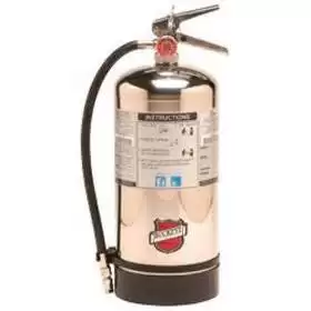 Buckeye 50006 Class K Wet Chemical Hand Held Fire Extinguisher